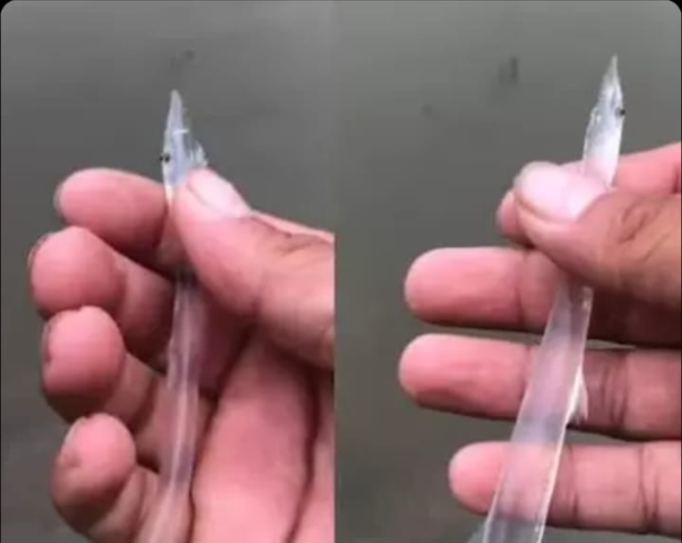 Screenshot_20230804-084806~2