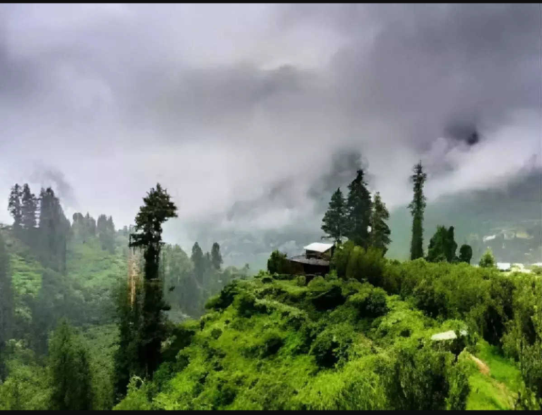 Screenshot_20230804-085705~2