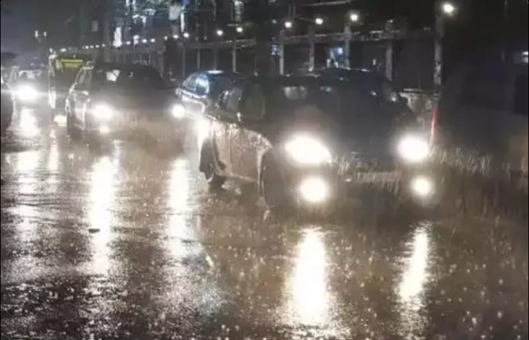 Screenshot_20230810-082317~2