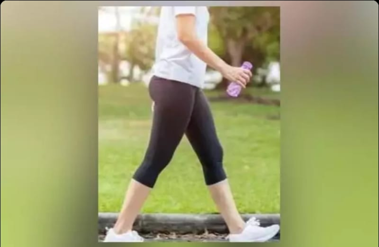 Screenshot_20230812-083032~2