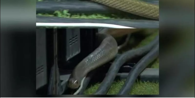 Screenshot_20230813-085436~2