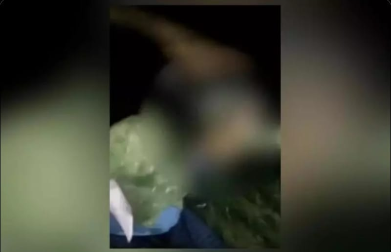 Screenshot_20230818-084922~2