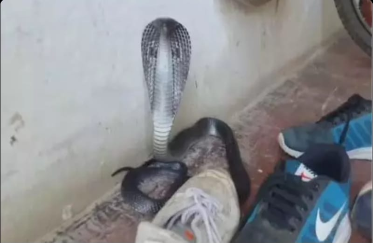 Screenshot_20230821-081714~2