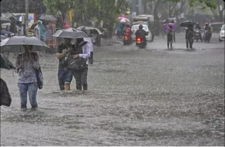 Screenshot_20230828-085016~2