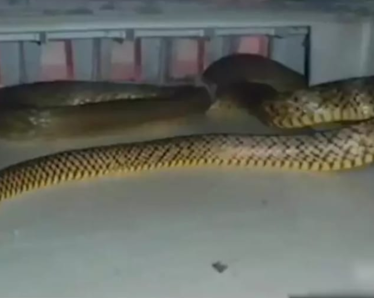 Screenshot_20230828-093512~2