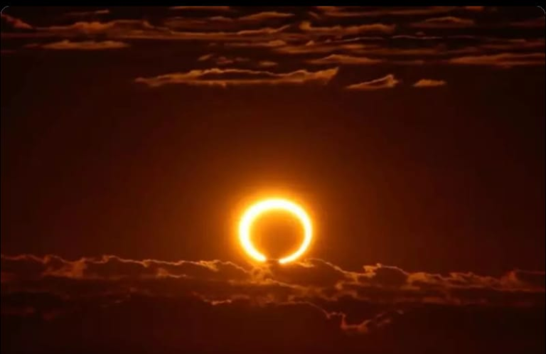 Screenshot_20230829-080438~2