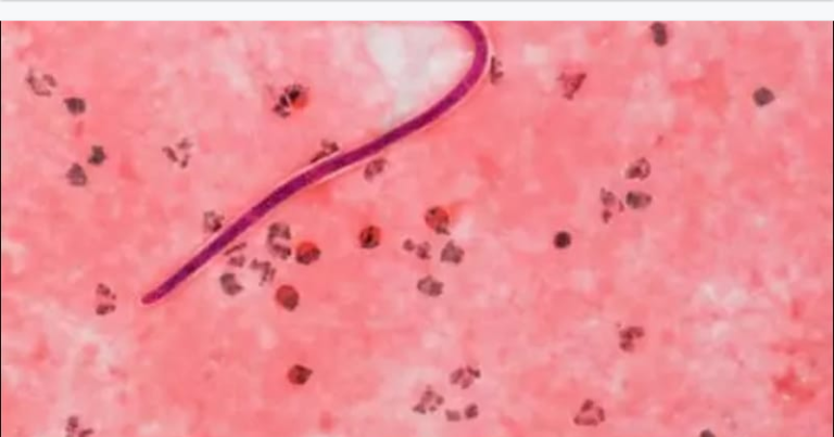 Screenshot_20230829-080844~2