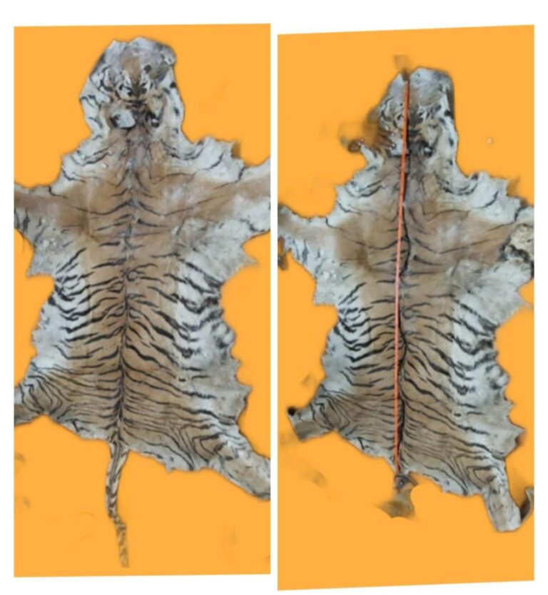 Screenshot_2023-09-07-15-34-46-277_com.whatsapp-edit