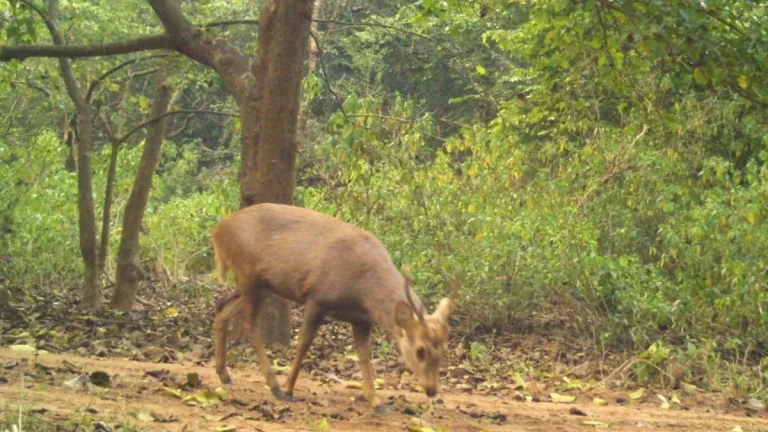 06_01_2024-uk_23622278