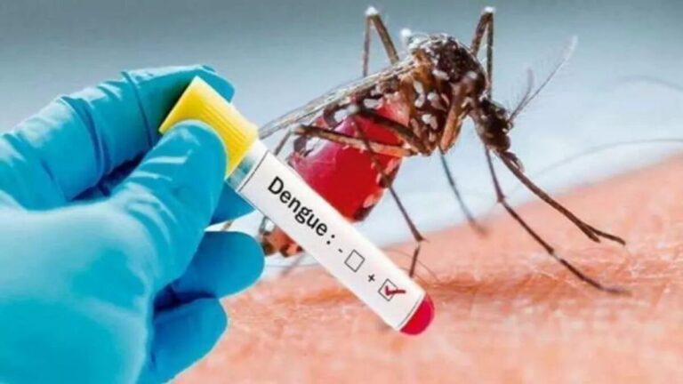 26_04_2024-dengue