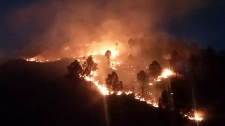 14_05_2024-forest-fire_23717273_8119436