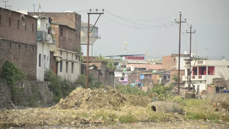 21_05_2024-banks_of_rispana_23721988