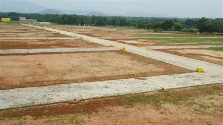 17_09_2024-land_demo_picture_23798291