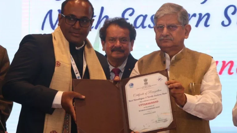 22_11_2024-fishpries_23835347