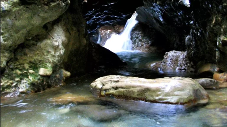 20_03_2025-guchupani_23902573