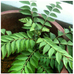 Screenshot 2025-08-23 201125