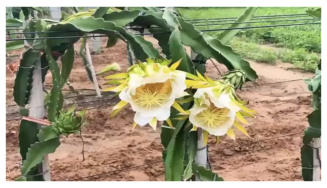 Screenshot 2025-10-28 100125