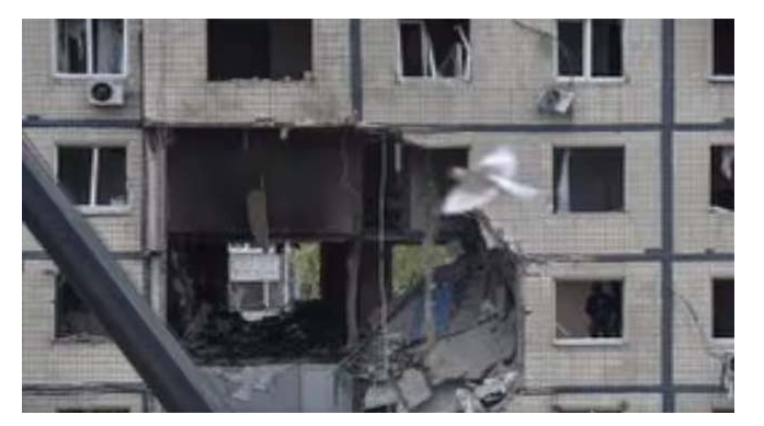 Screenshot 2025-11-10 135701