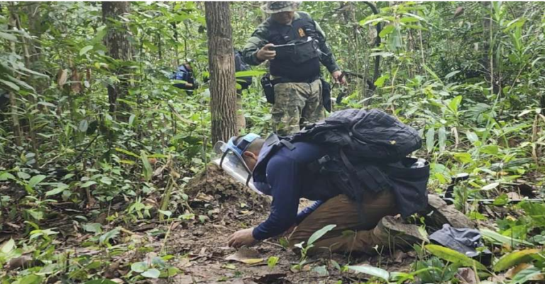 Screenshot 2025-12-10 155244