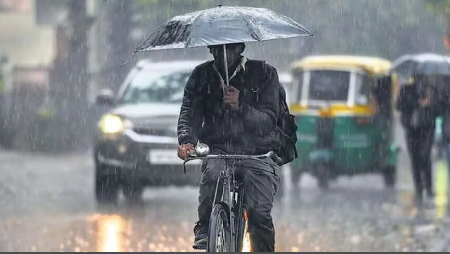 Screenshot 2026-01-20 154532