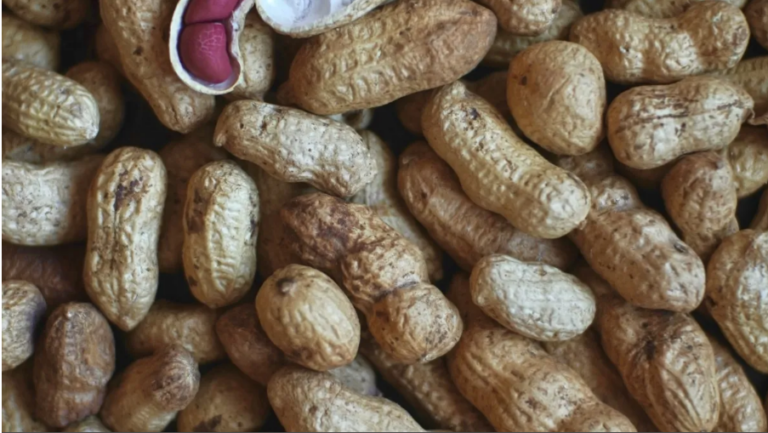 Screenshot 2026-01-21 125145