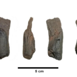 Screenshot 2026-01-27 131200