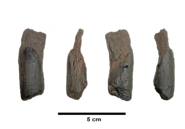 Screenshot 2026-01-27 131200