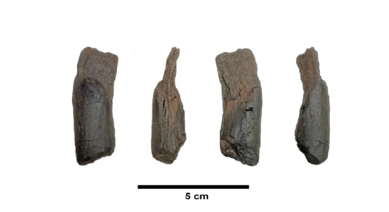 Screenshot 2026-01-27 131200