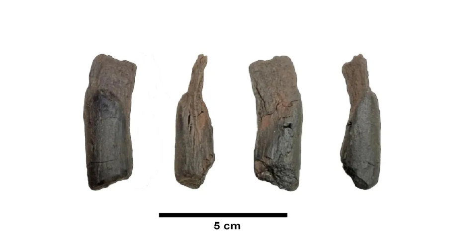 Screenshot 2026-01-27 131200