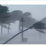 Screenshot 2026-02-11 161142