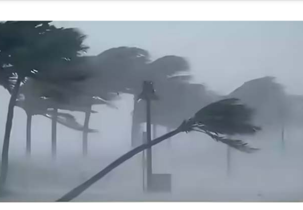 Screenshot 2026-02-11 161142