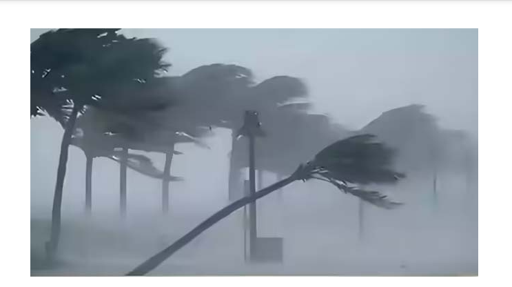 Screenshot 2026-02-11 161142