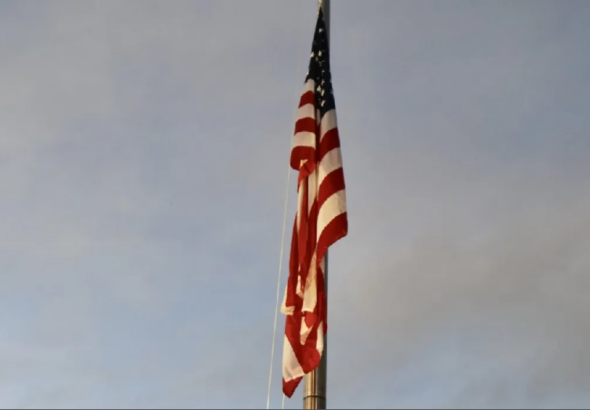 Screenshot 2026-03-15 123652