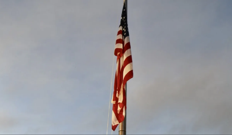 Screenshot 2026-03-15 123652