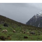 Screenshot 2026-04-21 113530