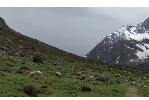 Screenshot 2026-04-21 113530