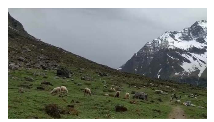 Screenshot 2026-04-21 113530