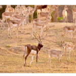 Screenshot 2026-04-27 183006