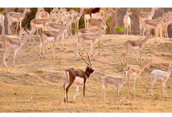 Screenshot 2026-04-27 183006