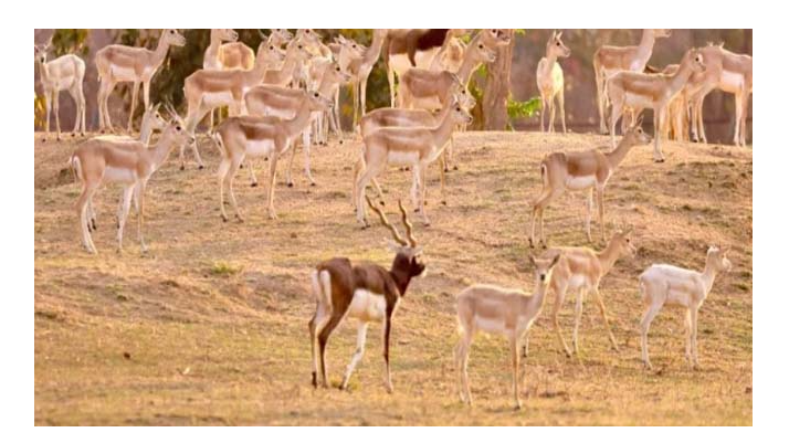 Screenshot 2026-04-27 183006